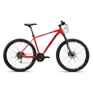 BotteCchia 115 Altus Disk 16S 27.5 «